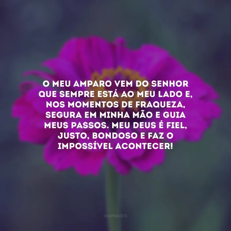 O meu amparo vem do Senhor que sempre está ao meu lado e, nos momentos de fraqueza, segura em minha mão e guia meus passos. Meu Deus é fiel, justo, bondoso e faz o impossível acontecer!