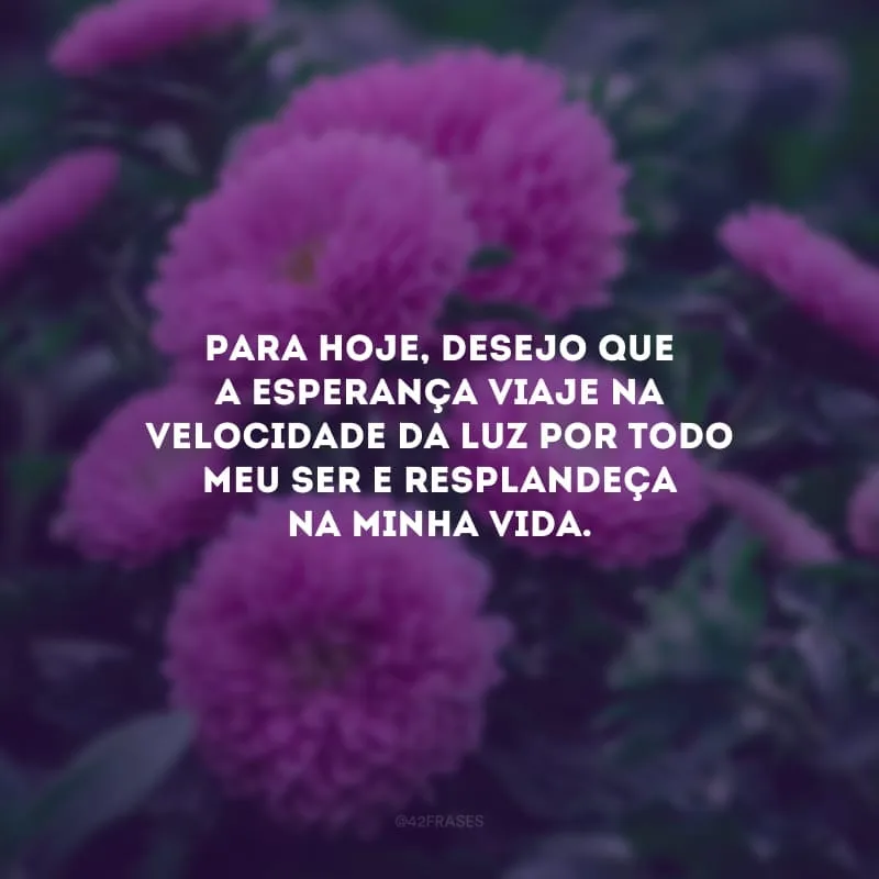 Para hoje, desejo que a esperança viaje na velocidade da luz por todo meu ser e resplandeça na minha vida.