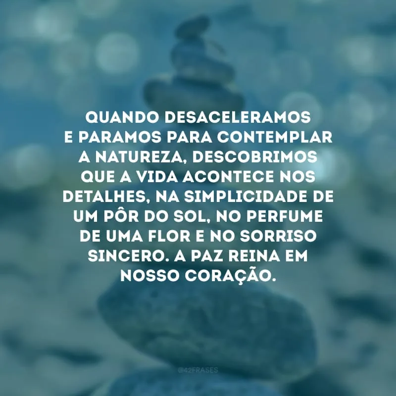 Quando desaceleramos e paramos para contemplar a natureza, descobrimos que a vida acontece nos detalhes, na simplicidade de um pôr do sol, no perfume de uma flor e no sorriso sincero. A paz reina em nosso coração.