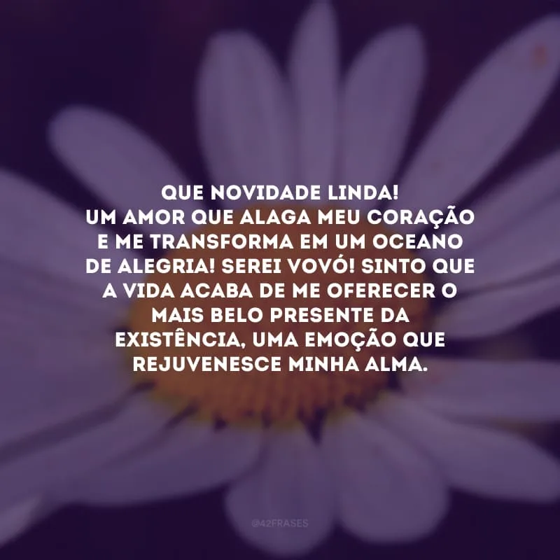 Que novidade linda! Um amor que alaga meu coração e me transforma em um oceano de alegria! Serei vovó! Sinto que a vida acaba de me oferecer o mais belo presente da existência, uma emoção que rejuvenesce minha alma.