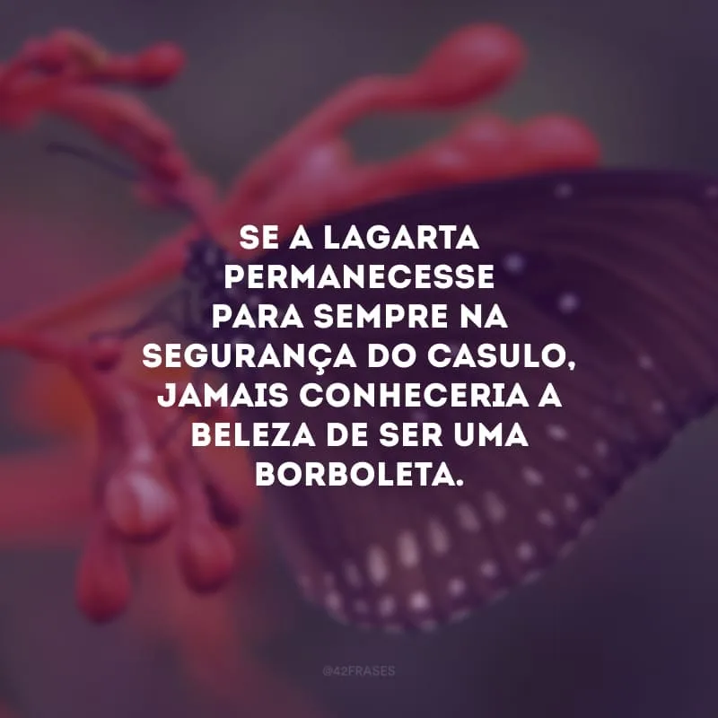 Se a lagarta permanecesse para sempre na segurança do casulo, jamais conheceria a beleza de ser uma borboleta. Chegou a hora de sair da sua zona de conforto para desbravar o mundo e conquistar seus sonhos!