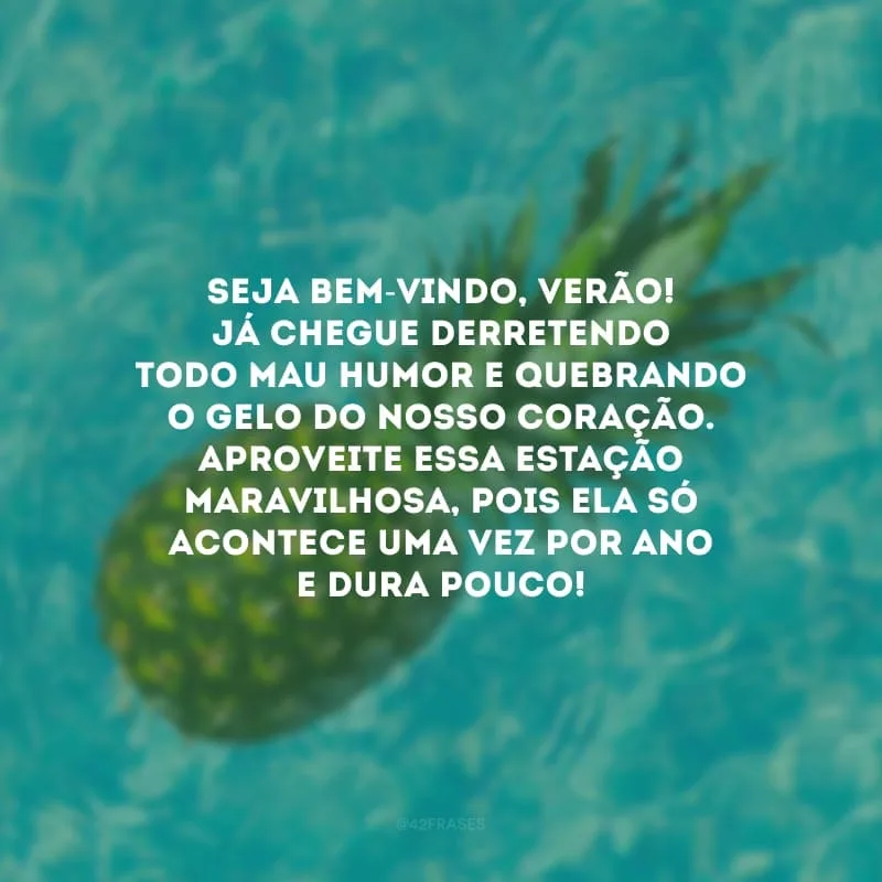 Seja bem-vindo, verão! Já chegue derretendo todo mau humor e quebrando o gelo do nosso coração. Aproveite essa estação maravilhosa, pois ela só acontece uma vez por ano e dura pouco!
