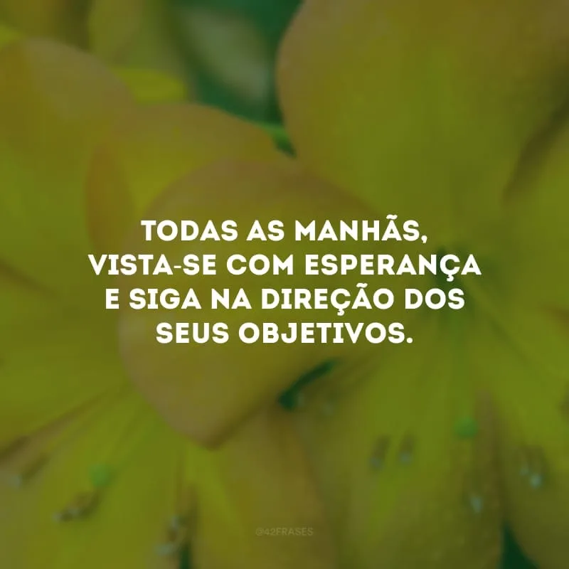 Todas as manhãs, vista-se com esperança e siga na direção dos seus objetivos.