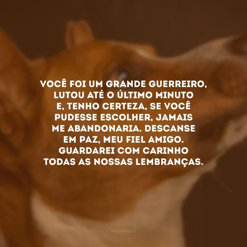Você foi um grande guerreiro, lutou até o último minuto e, tenho certeza, se você pudesse escolher, jamais me abandonaria. Descanse em paz, meu fiel amigo. Guardarei com carinho todas as nossas lembranças.