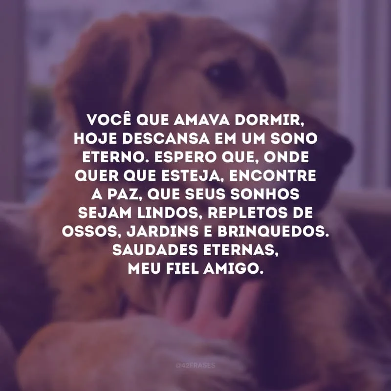 Você que amava dormir, hoje descansa em um sono eterno. Espero que, onde quer que esteja, encontre a paz, que seus sonhos sejam lindos, repletos de ossos, jardins e brinquedos. Saudades eternas, meu fiel amigo.