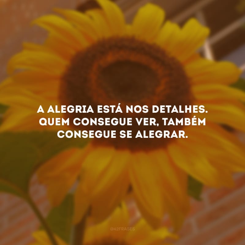 A alegria está nos detalhes. Quem consegue ver, também consegue se alegrar.