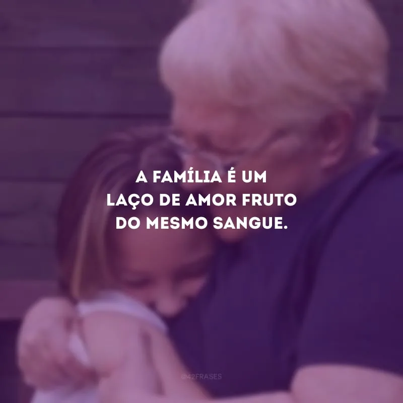 A família é um laço de amor fruto do mesmo sangue.