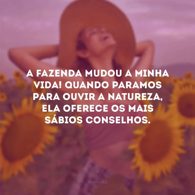 A fazenda mudou a minha vida! Quando paramos para ouvir a natureza, ela oferece os mais sábios conselhos.