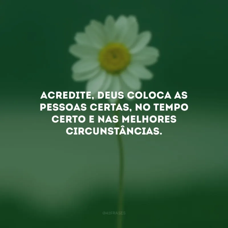 Acredite, Deus coloca as pessoas certas, no tempo certo e nas melhores circunstâncias. 