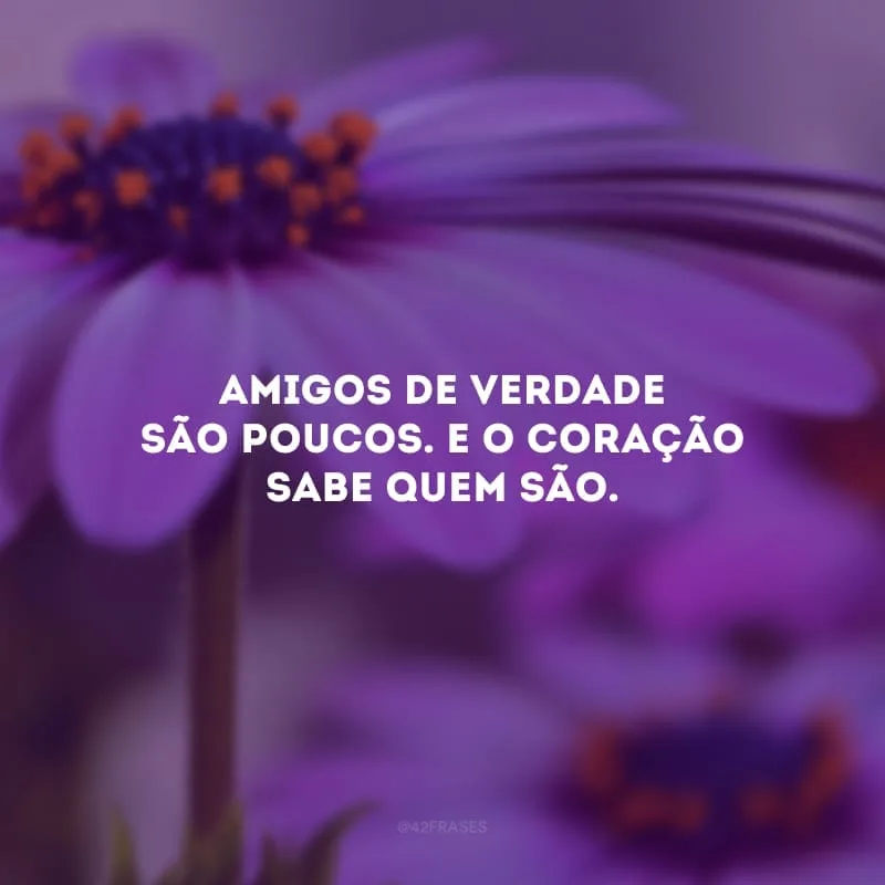 Amigos de verdade são poucos. E o coração sabe quem são. 
