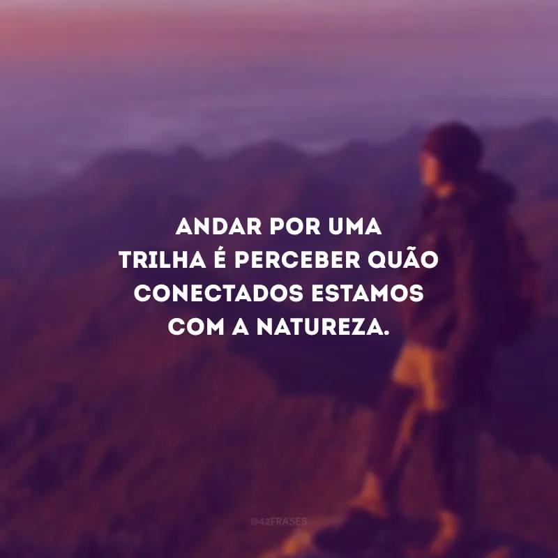 Andar por uma trilha é perceber quão conectados estamos com a natureza.