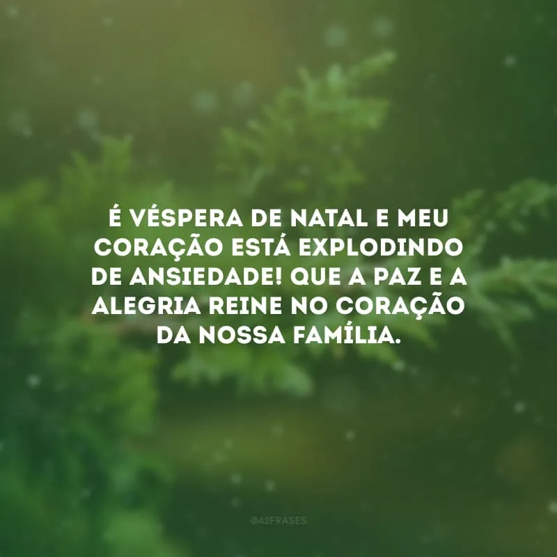 É véspera de Natal e meu coração está explodindo de ansiedade! Que a paz e a alegria reine no coração da nossa família.