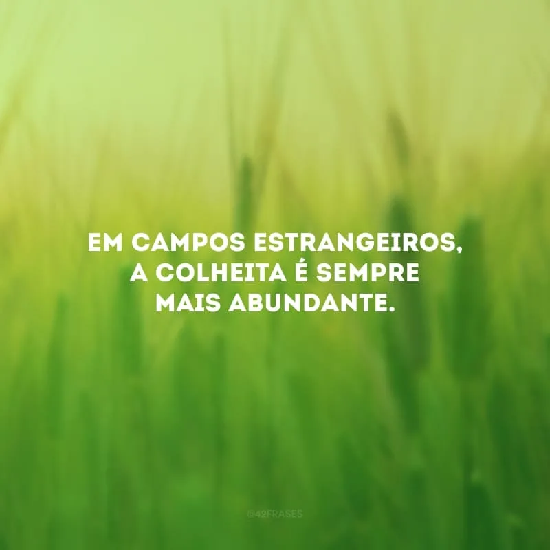 Em campos estrangeiros, a colheita é sempre mais abundante. 