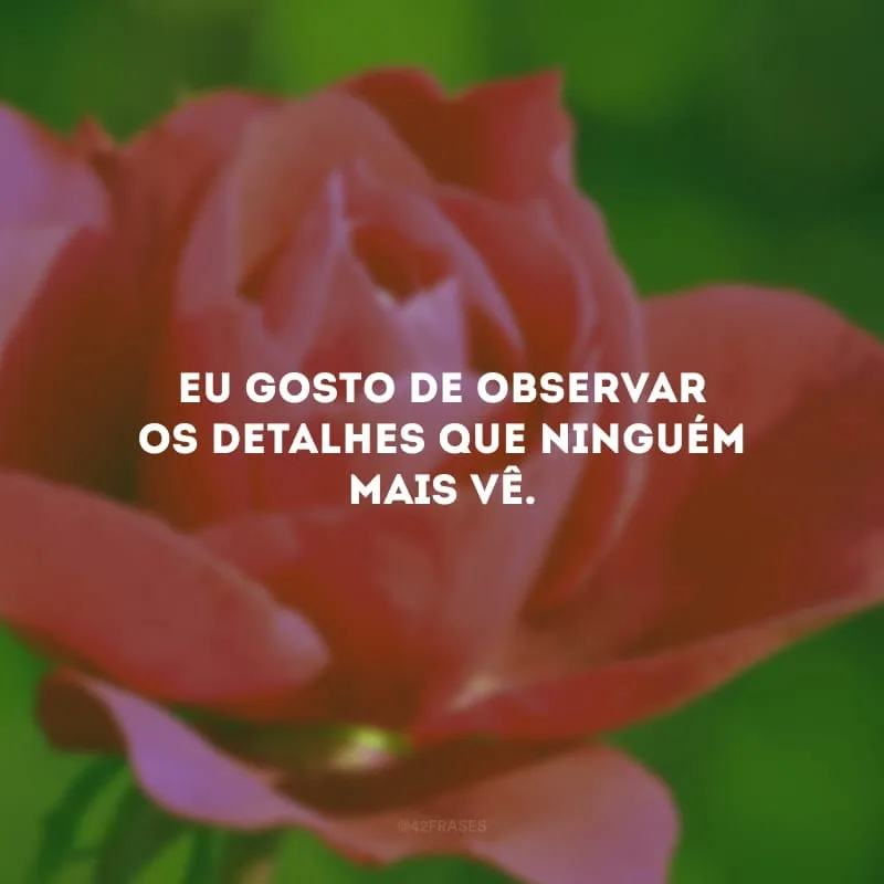 Eu gosto de observar os detalhes que ninguém mais vê.
