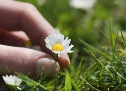 30 frases sobre detalhes para quem sabe que eles fazem diferença
