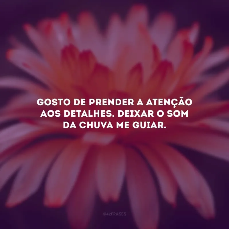 Gosto de prender a atenção aos detalhes. Deixar o som da chuva me guiar.