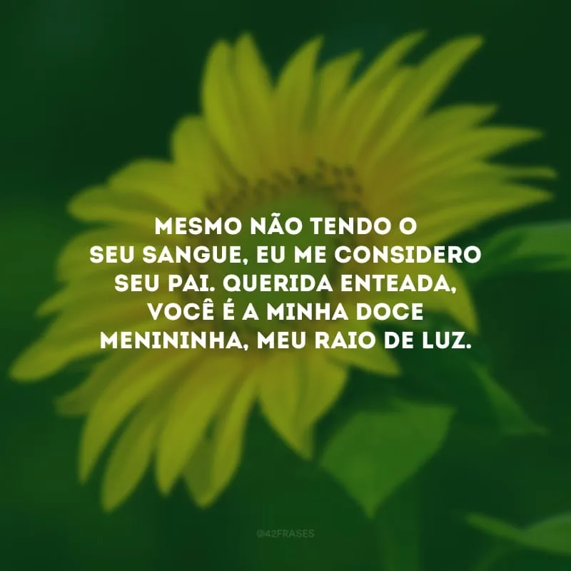 Mesmo não tendo o seu sangue, eu me considero seu pai. Querida enteada, você é a minha doce menininha, meu raio de luz.