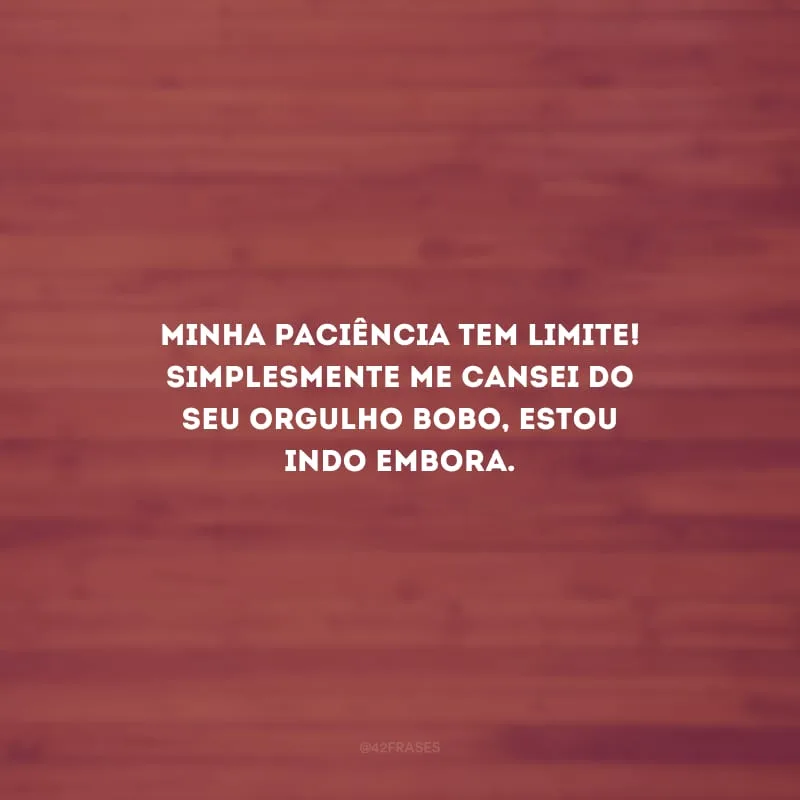 Minha paciência tem limite! Simplesmente me cansei do seu orgulho bobo, estou indo embora.