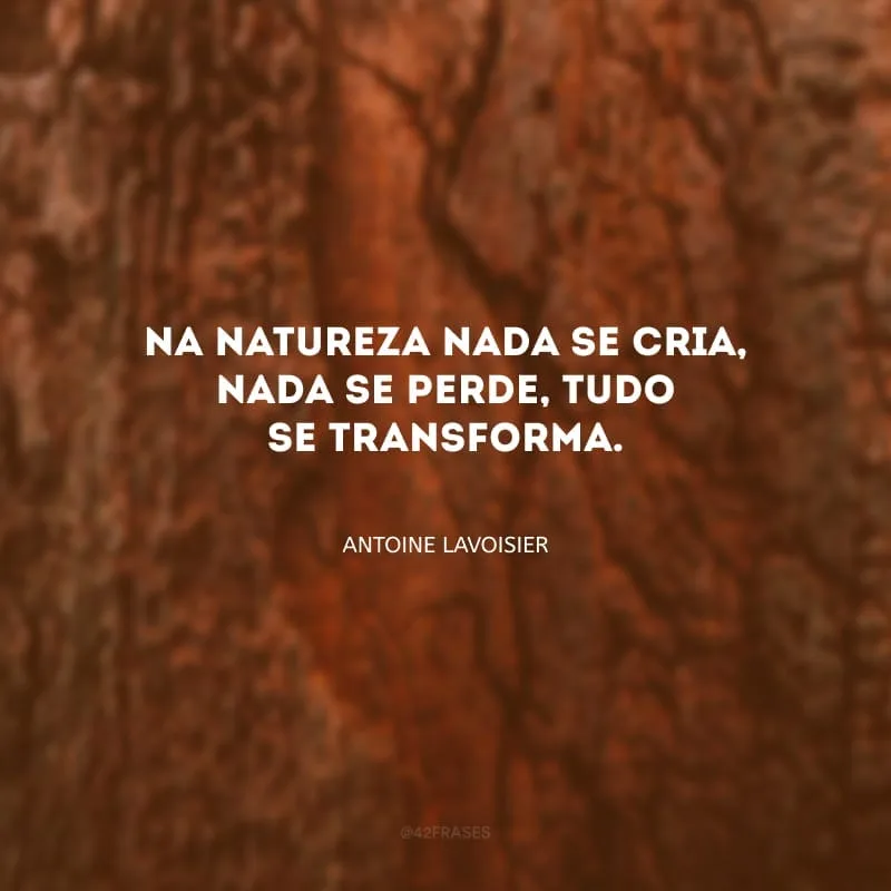Na natureza nada se cria, nada se perde, tudo se transforma.