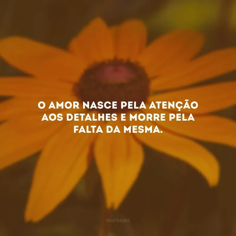 O amor nasce pela atenção aos detalhes e morre pela falta da mesma.