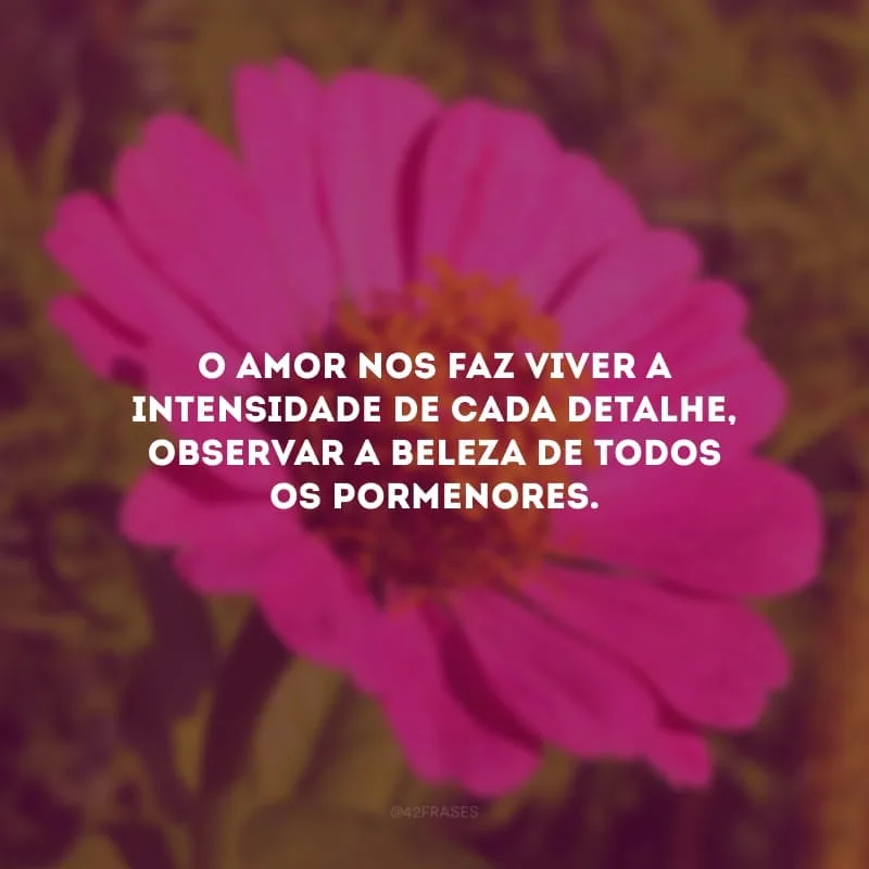 O amor nos faz viver a intensidade de cada detalhe, observar a beleza de todos os pormenores.