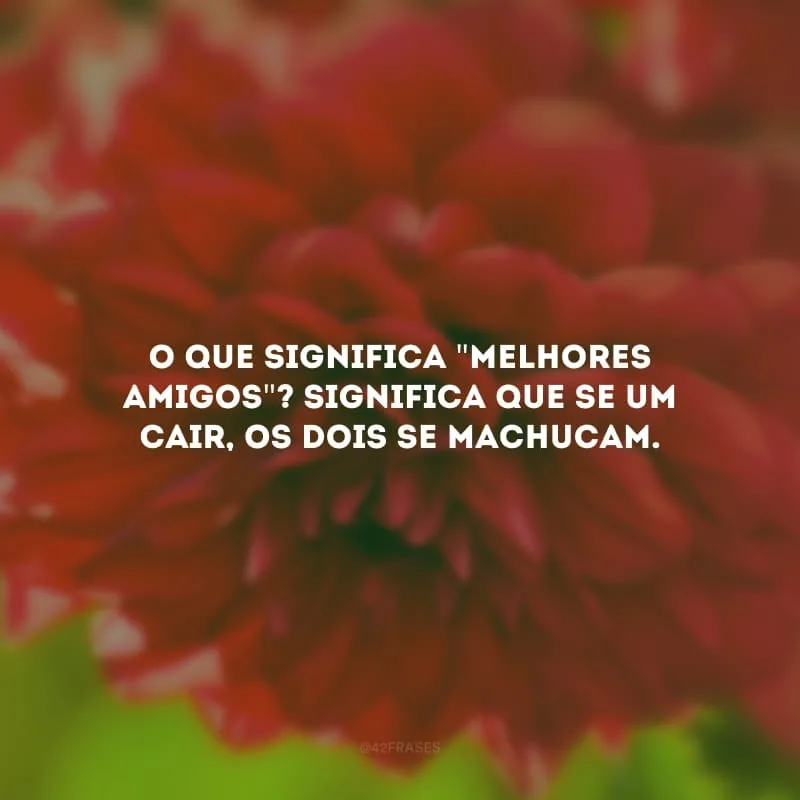 O que significa \"melhores amigos\"? Significa que se um cair, os dois se machucam.
