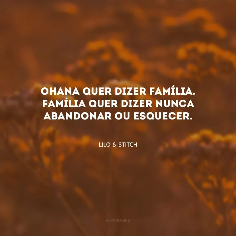 Ohana quer dizer família. Família quer dizer nunca abandonar ou esquecer.
