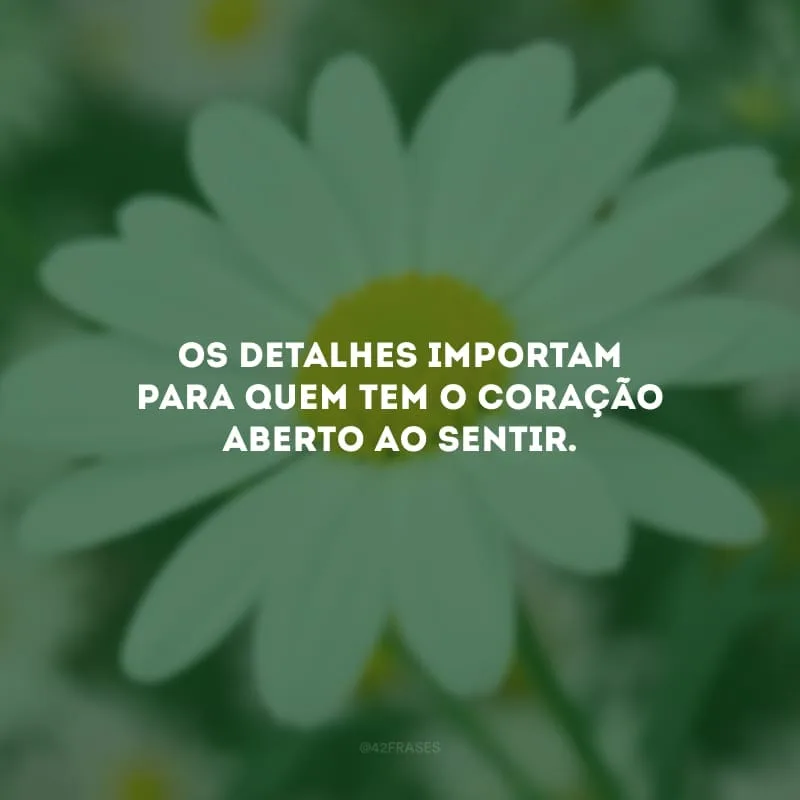Os detalhes importam para quem tem o coração aberto ao sentir.