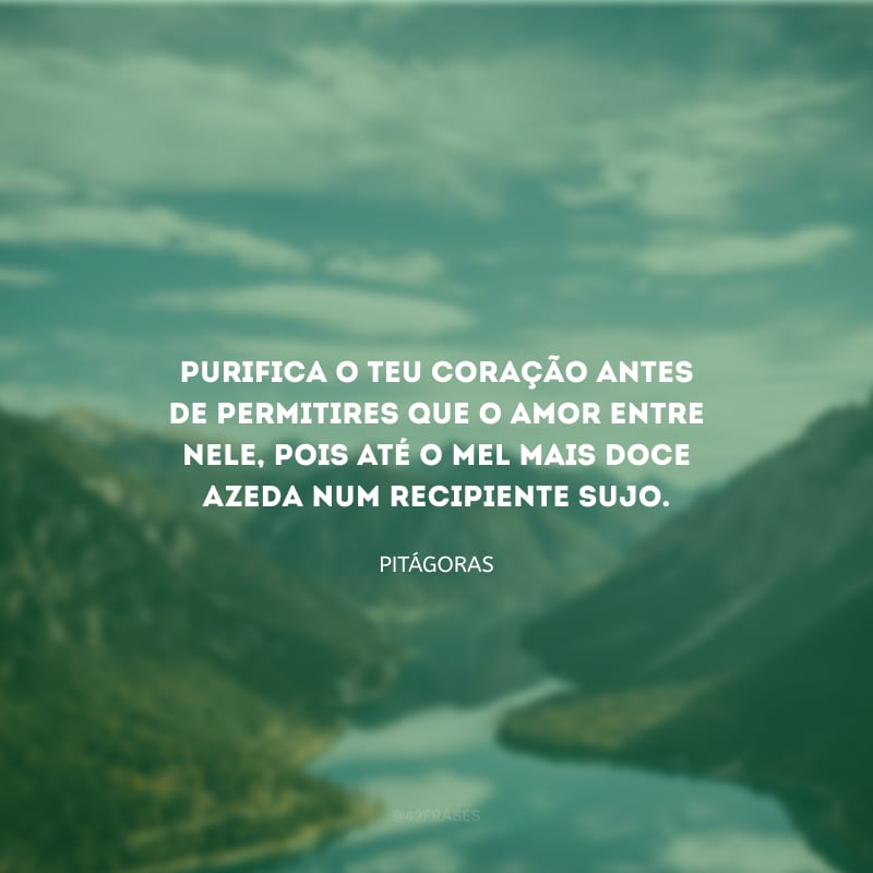Purifica o teu coração antes de permitires que o amor entre nele, pois até o mel mais doce azeda num recipiente sujo.