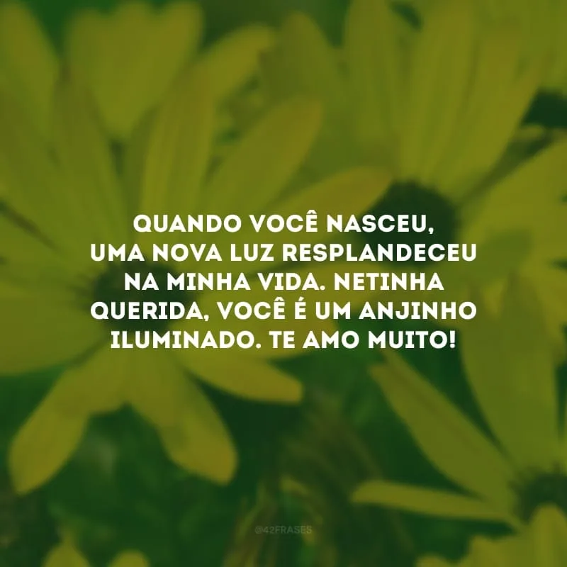 Quando você nasceu, uma nova luz resplandeceu na minha vida. Netinha querida, você é um anjinho iluminado. Te amo muito!