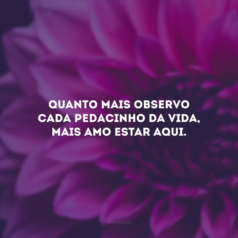 Quanto mais observo cada pedacinho da vida, mais amo estar aqui.