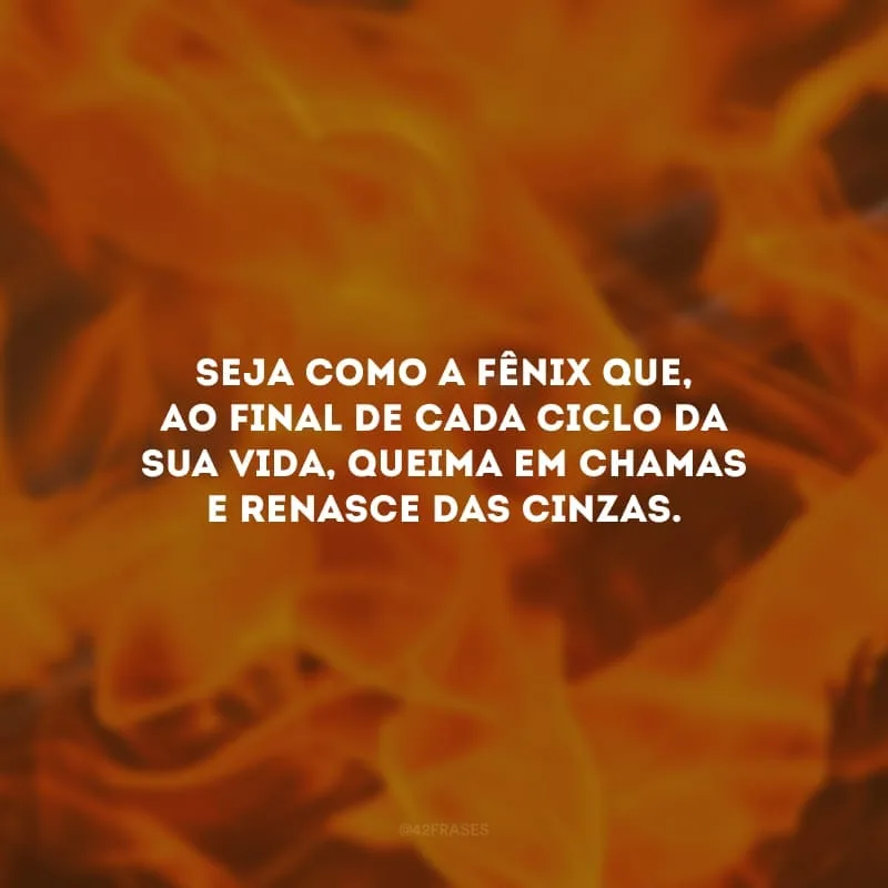 Seja como a fênix que, ao final de cada ciclo da sua vida, queima em chamas e renasce das cinzas. 