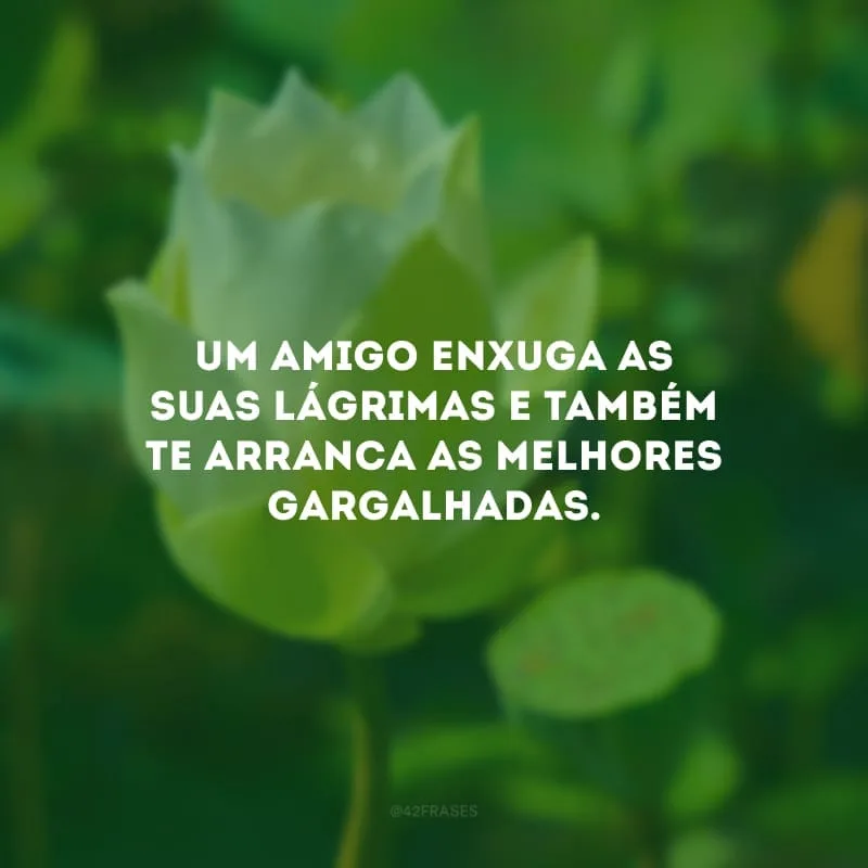 Um amigo enxuga as suas lágrimas e também te arranca as melhores gargalhadas. 