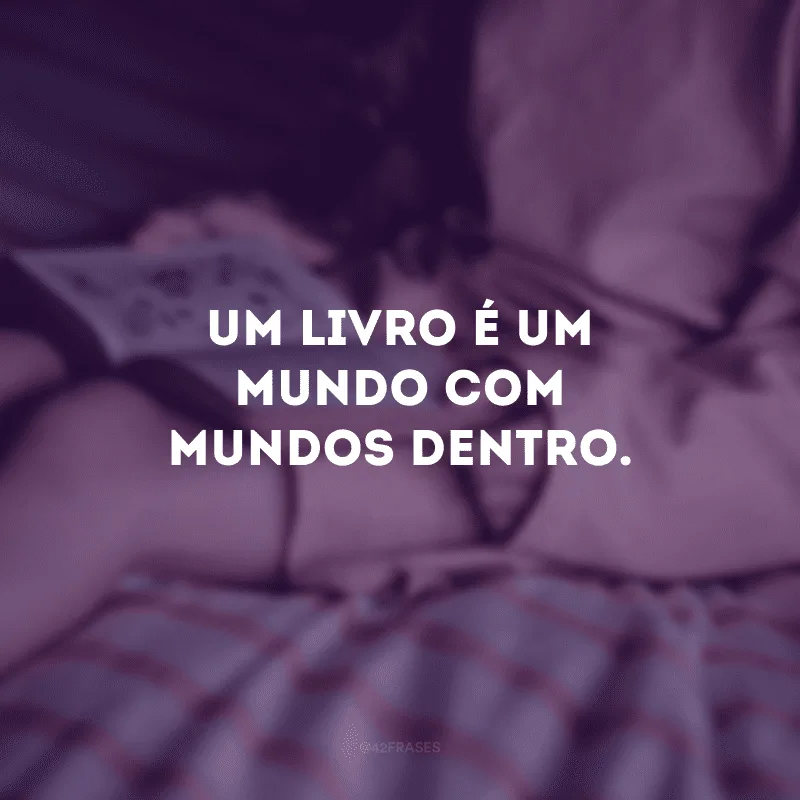Um livro é um mundo com mundos dentro.
