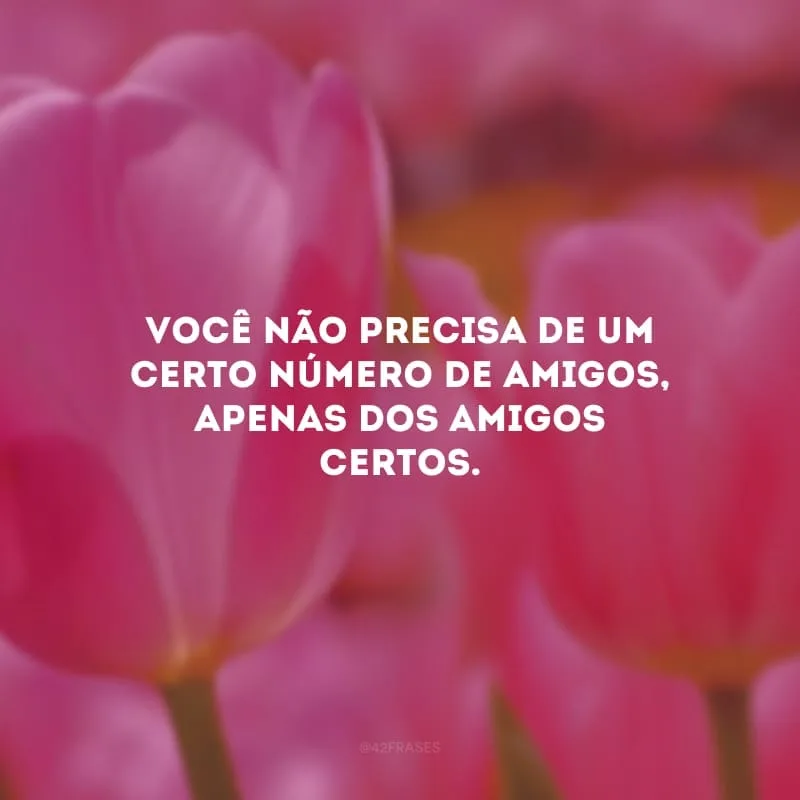 Você não precisa de um certo número de amigos, apenas dos amigos certos.