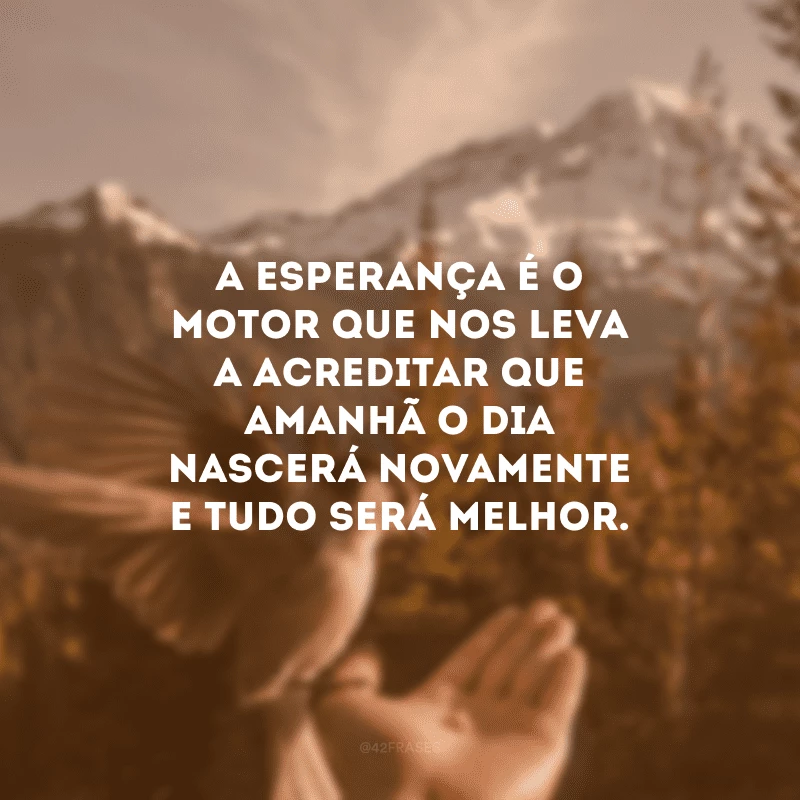 A esperança é o motor que nos leva a acreditar que amanhã o dia nascerá novamente e tudo será melhor.