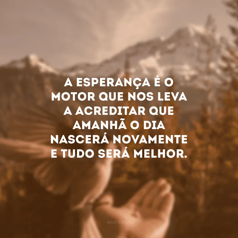 A esperança é o motor que nos leva a acreditar que amanhã o dia nascerá novamente e tudo será melhor.