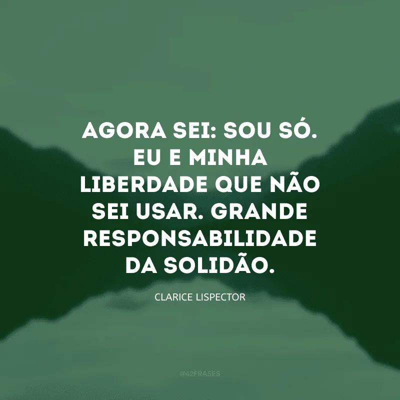 Agora sei: sou só. Eu e minha liberdade que não sei usar. Grande responsabilidade da solidão.

