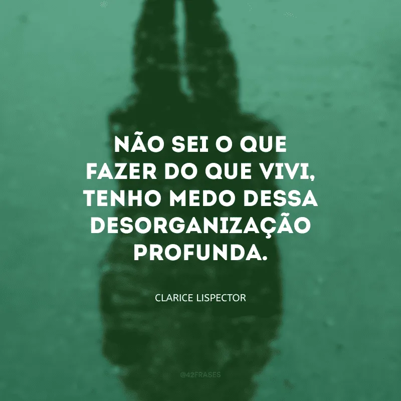 Não sei o que fazer do que vivi, tenho medo dessa desorganização profunda.

