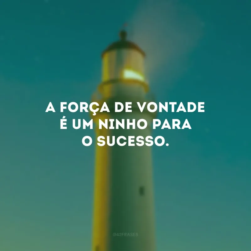 A força de vontade é um ninho para o sucesso.