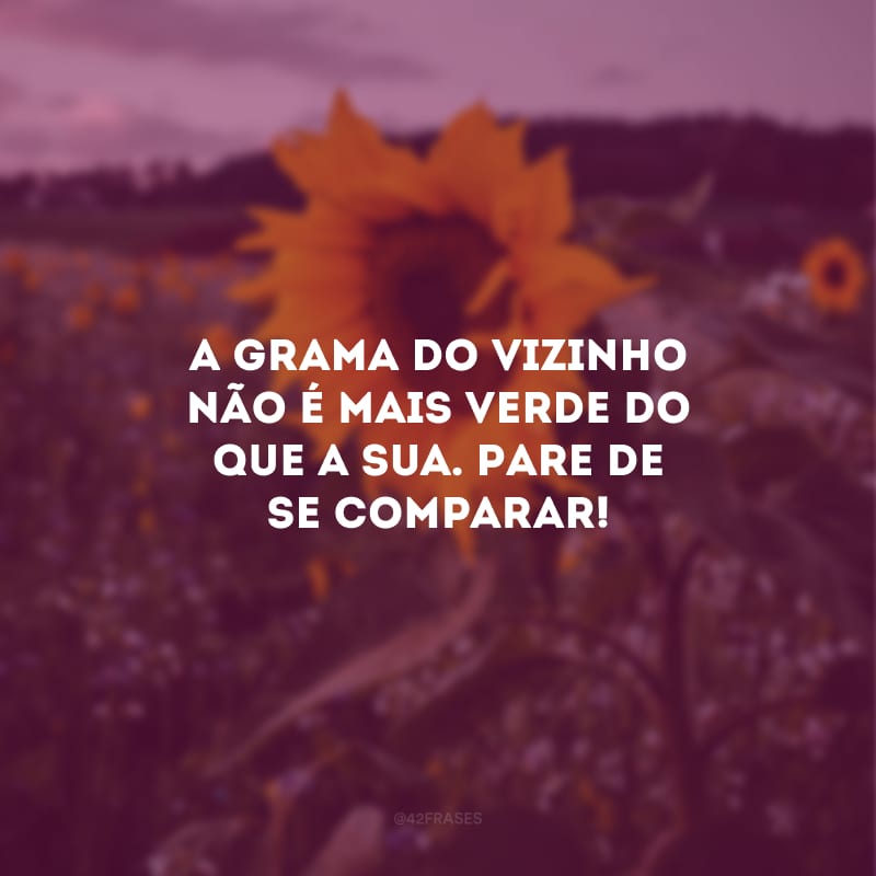 A grama do vizinho não é mais verde do que a sua. Pare de se comparar!