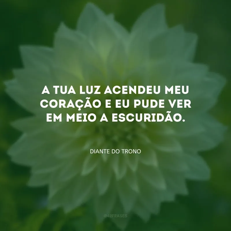 A Tua luz acendeu meu coração e eu pude ver em meio a escuridão.