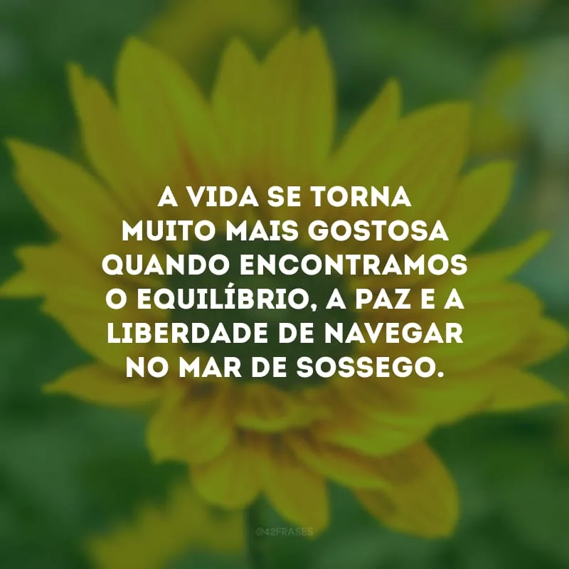 A vida se torna muito mais gostosa quando encontramos o equilíbrio, a paz e a liberdade de navegar no mar de sossego.