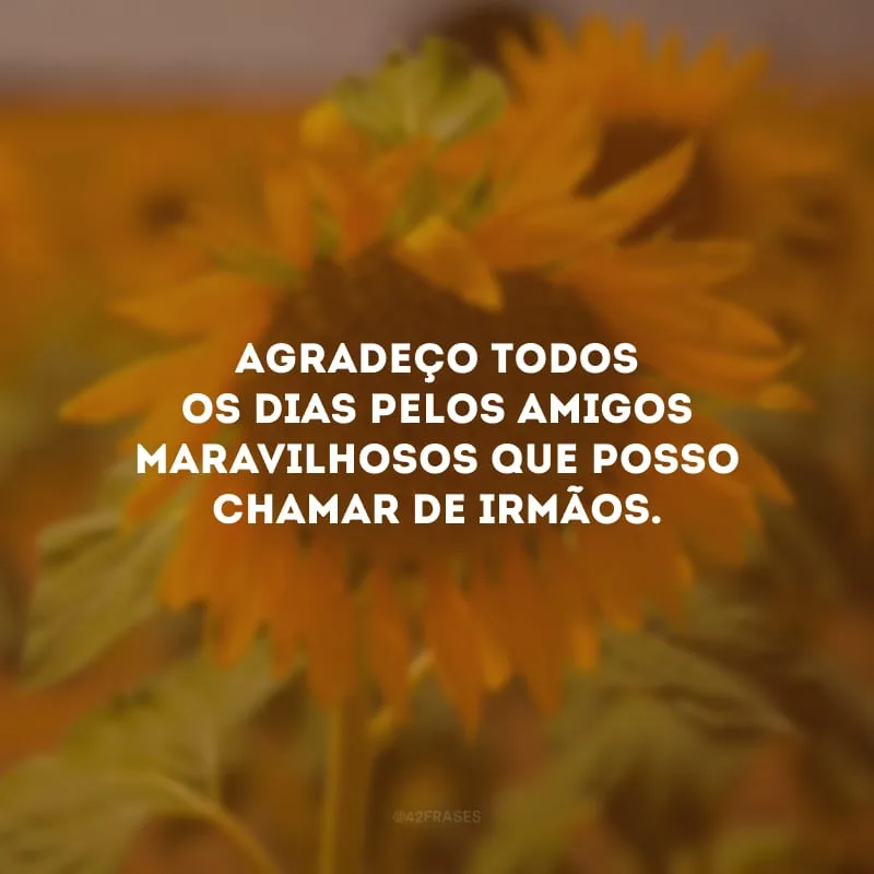 Agradeço todos os dias pelos amigos maravilhosos que posso chamar de irmãos. 
