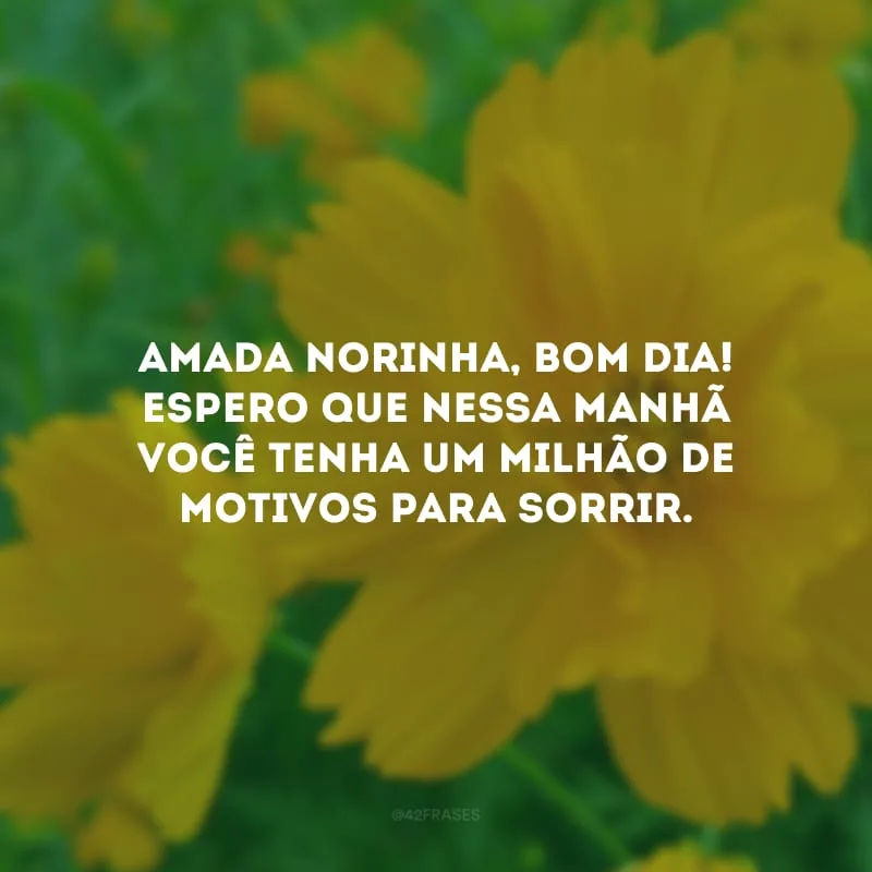 Amada norinha, bom dia! Espero que nessa manhã você tenha um milhão de motivos para sorrir. 