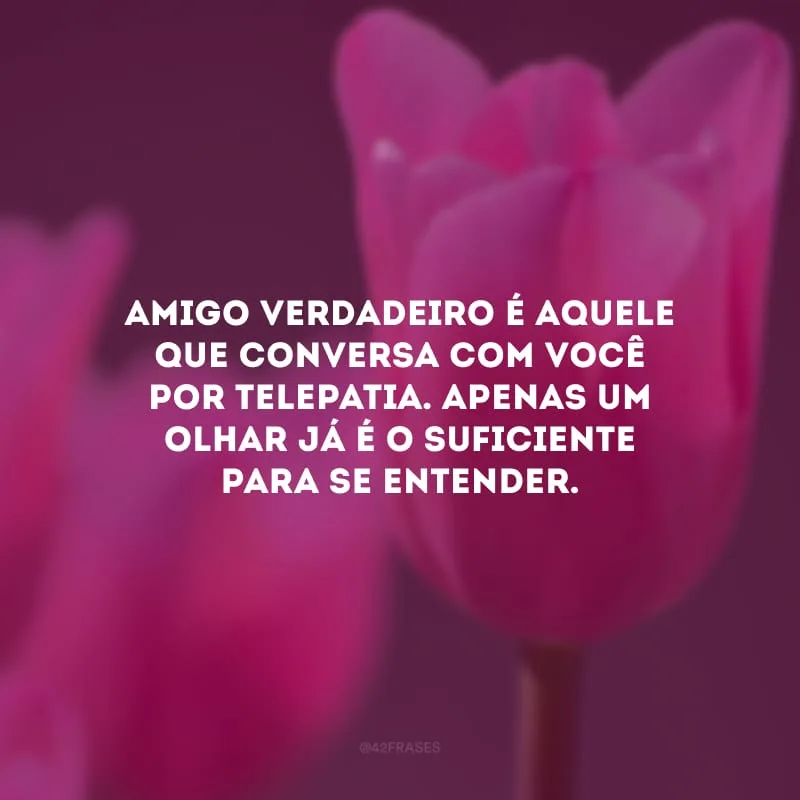 Amigo verdadeiro é aquele que conversa com você por telepatia. Apenas um olhar já é o suficiente para se entender. 