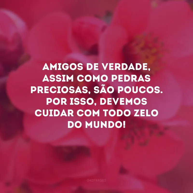Amigos de verdade, assim como pedras preciosas, são poucos. Por isso, devemos cuidar com todo zelo do mundo! 