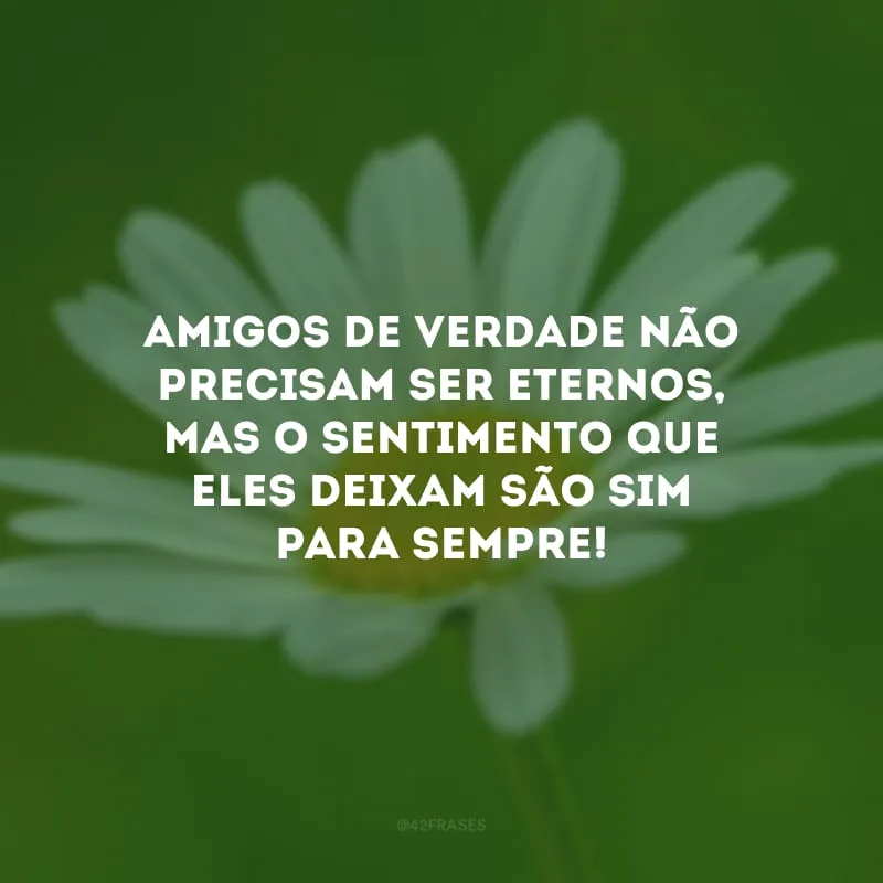 Amigos de verdade não precisam ser eternos, mas o sentimento que eles deixam são sim para sempre!