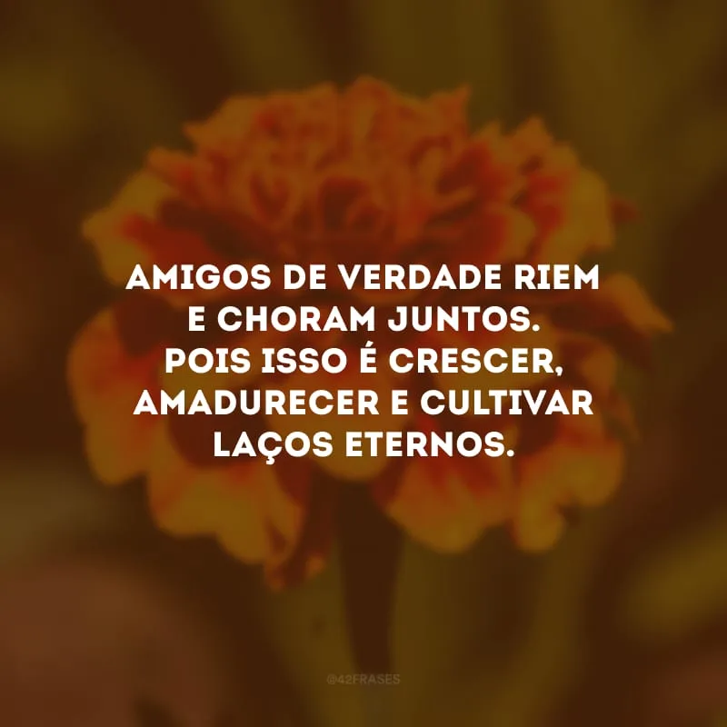 Amigos de verdade riem e choram juntos. Pois isso é crescer, amadurecer e cultivar laços eternos. 