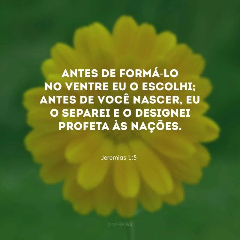 Antes de formá-lo no ventre eu o escolhi; antes de você nascer, eu o separei e o designei profeta às nações.